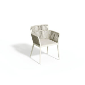 Nette Armchair -Beige Back